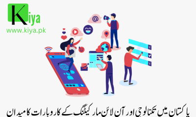 پاکستان میں تکنالوجی اور آن لائن مارکیٹنگ کے کاروبارات کا میدان